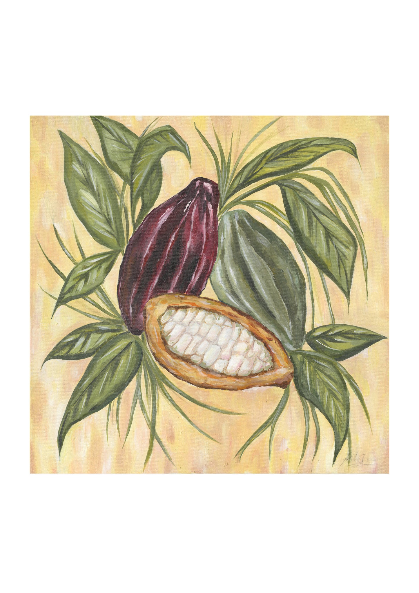 Cacao