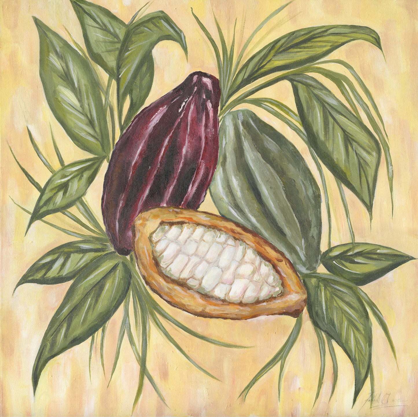 Cacao